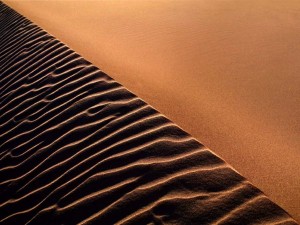 desert_dune-566.jpeg