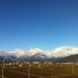 IMG_1130